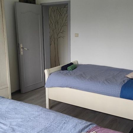 Appartement Les Mirabelles Entre Strasbourg Et Haguenau Bischwiller ภายนอก รูปภาพ